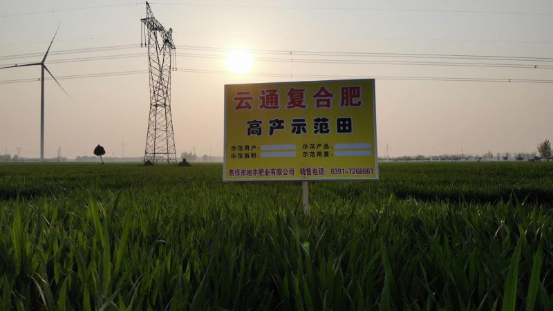 示范田